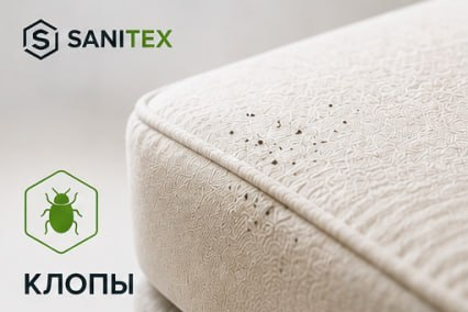 Клопы